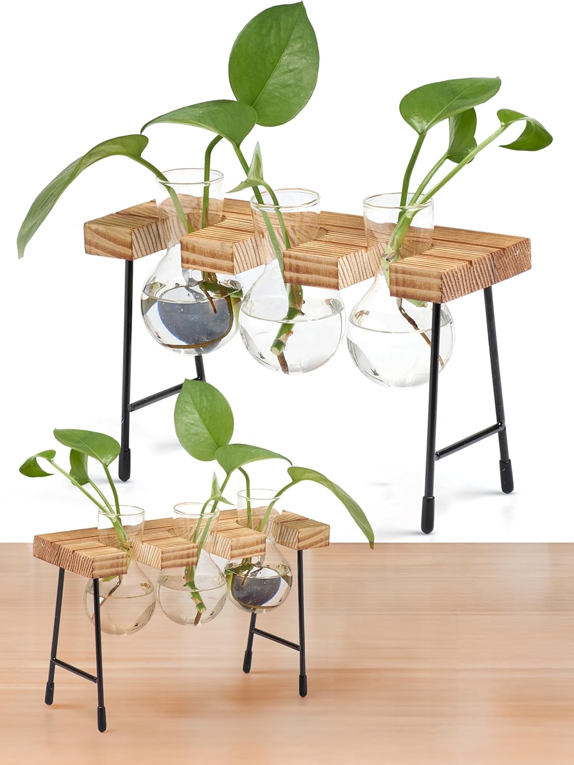 Window Garden Plant Terrarium Glass Vase with Stand - Set of 3