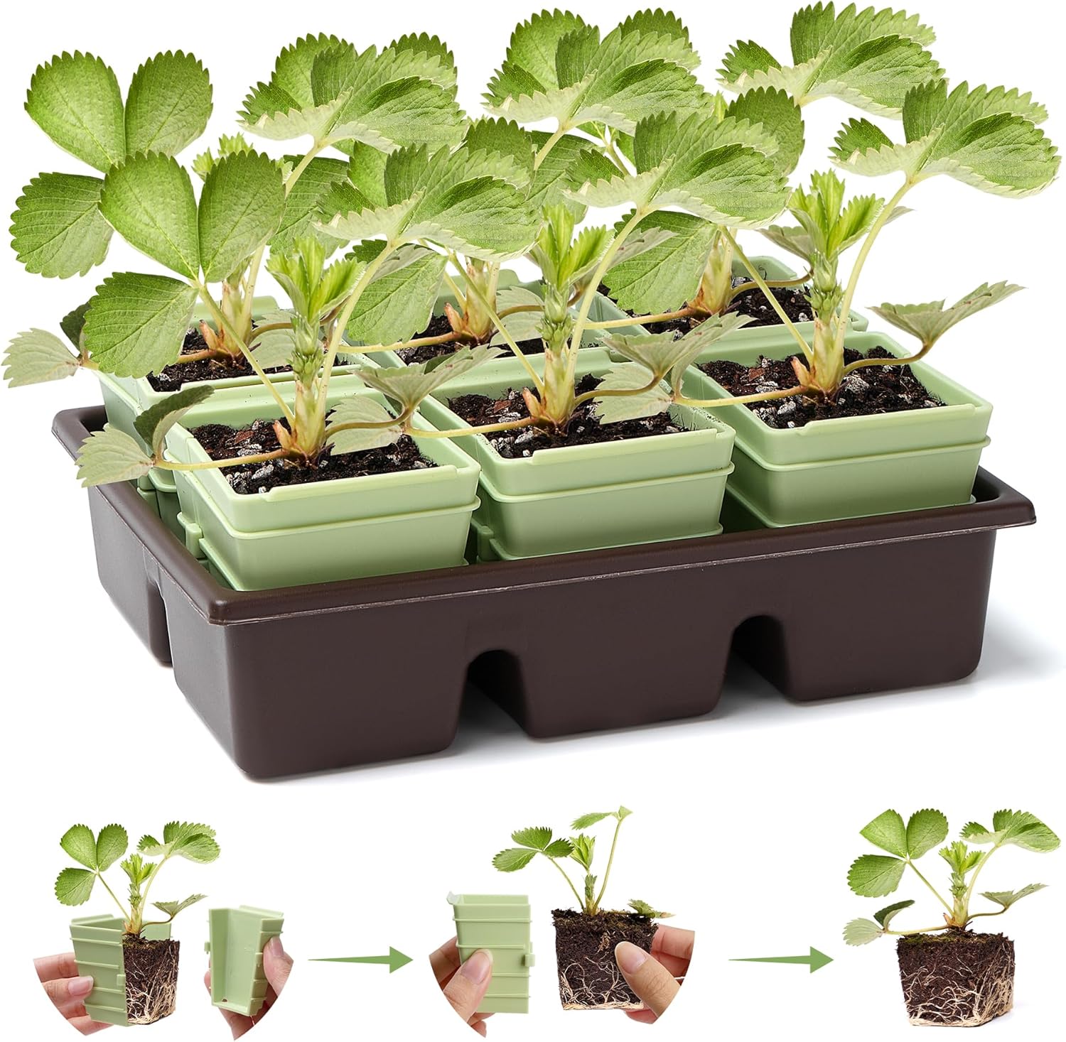 Green Bazzar Side-Open Seed Starter Tray 8-Pack